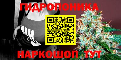 Альфа ПВП Ипатово