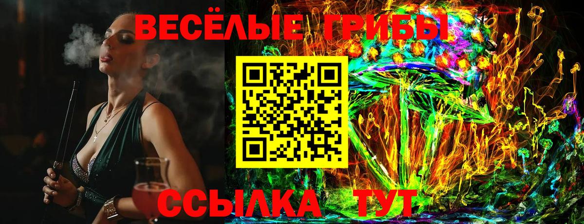 Галлюциногенные грибы Magic Shrooms  Вход с VPN  где купить наркоту  Заринск  Псилоцибиновые грибы прущие грибы 